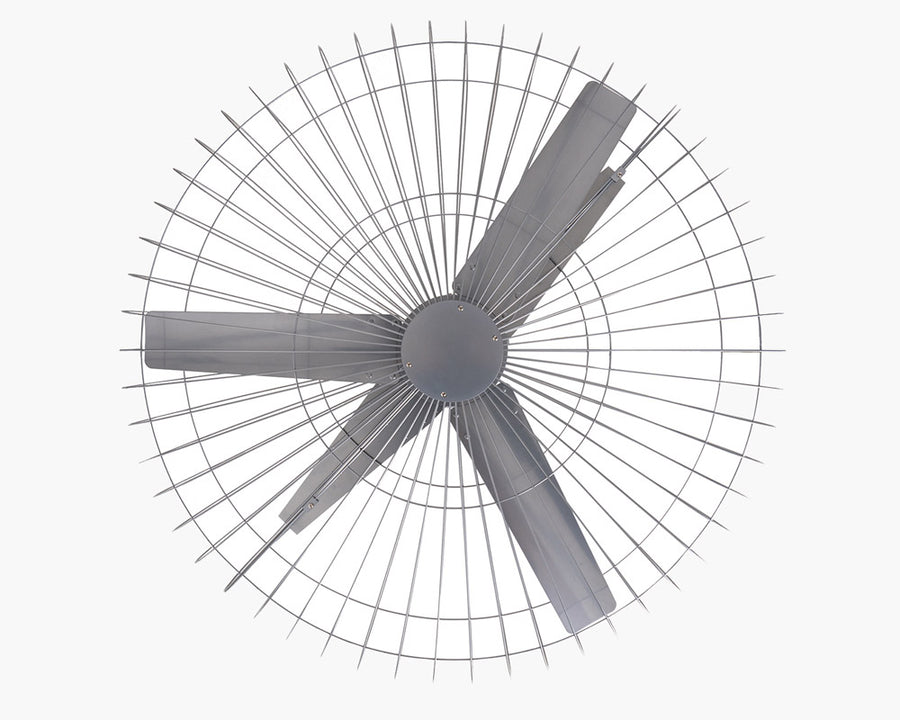 GRAND MONICA Ceiling Fan グランモニカシーリングファン