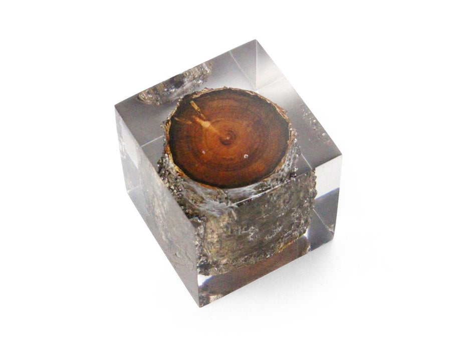 Resin With Wood Inside レジンウィズウッドインサイド