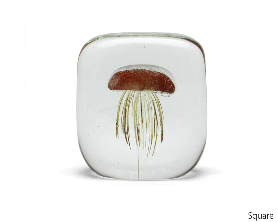 Jellyfish Paper Weight ジェリーフィッシュペーパーウェイト