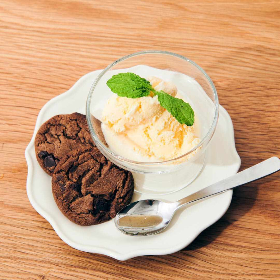 ice cream maker