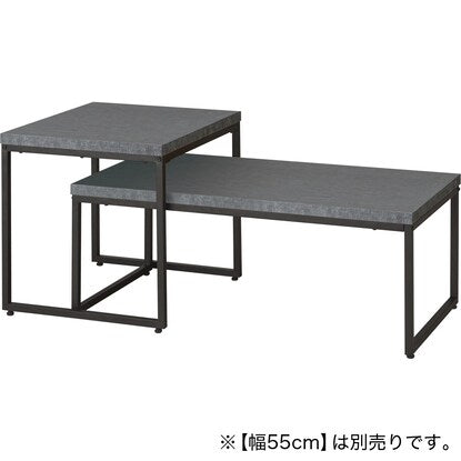 Center table (Stain 9848 DGY)