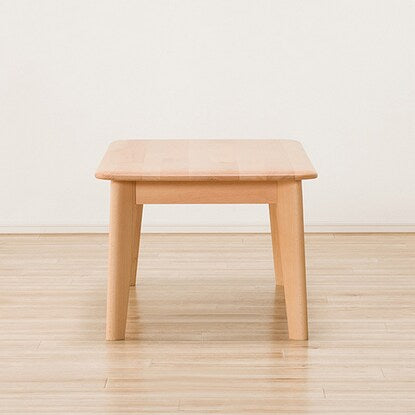 Center table (N Collection 100 T-01 NA)