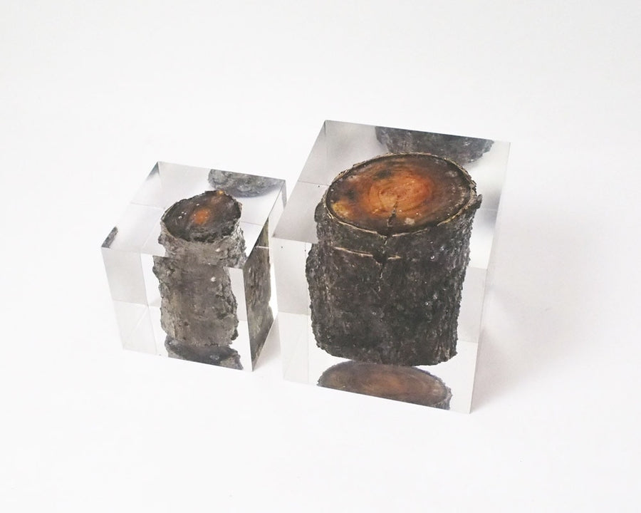 Resin With Wood Inside レジンウィズウッドインサイド