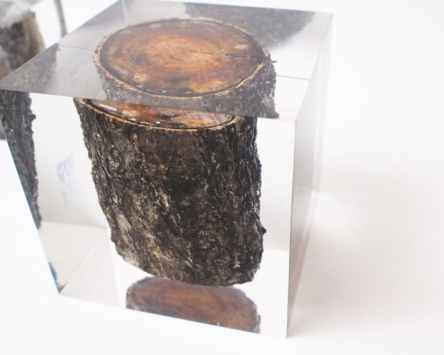 Resin With Wood Inside レジンウィズウッドインサイド
