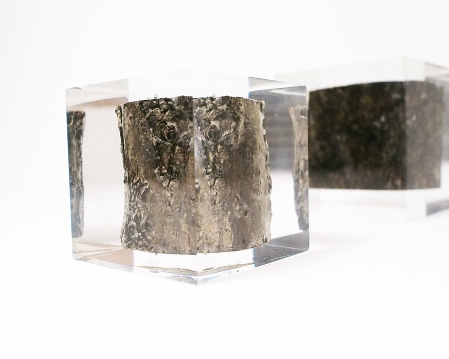 Resin With Wood Inside レジンウィズウッドインサイド