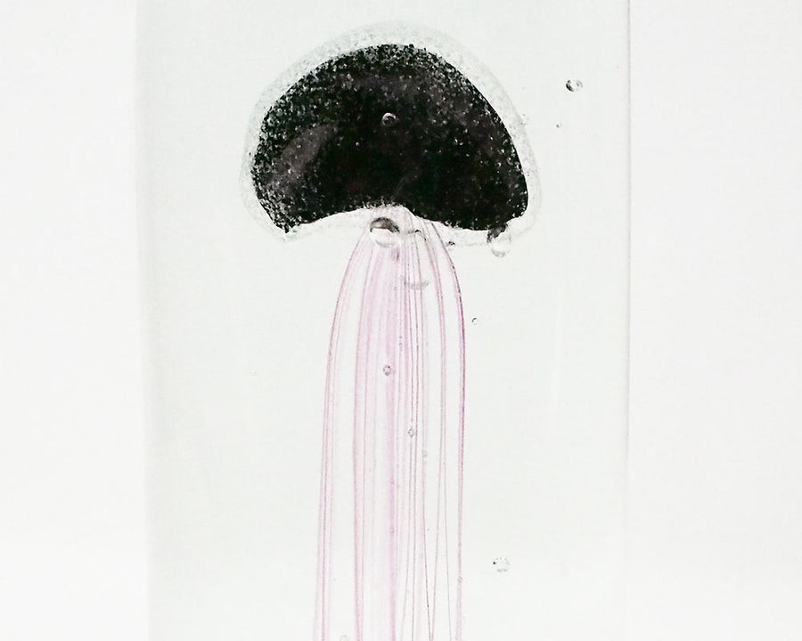 Jellyfish Paper Weight ジェリーフィッシュペーパーウェイト