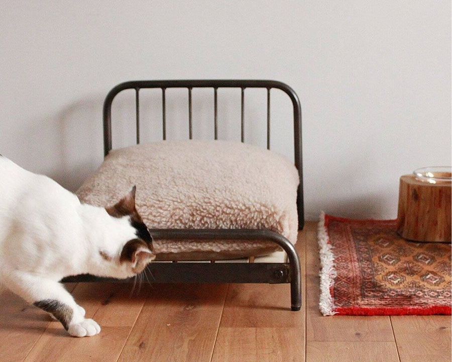 SENS BED for CAT
