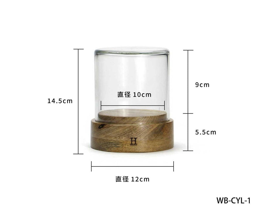 Glass Dome Cylinder ガラスドーム シリンダー WB-CYL-1