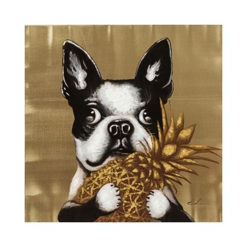 60442 Picture Touched Dog with Pineapple 80×80cm