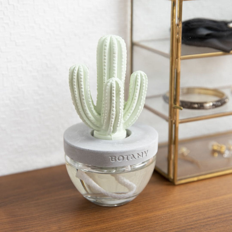 Cactus Fragrance Diffuser B Ocean Breeze