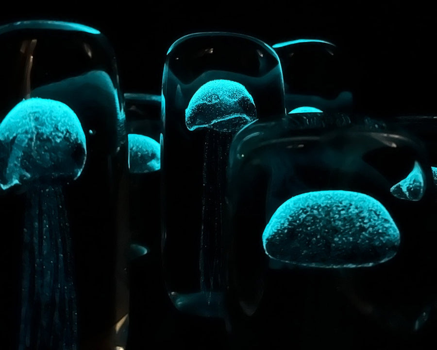 Jellyfish Paper Weight ジェリーフィッシュペーパーウェイト