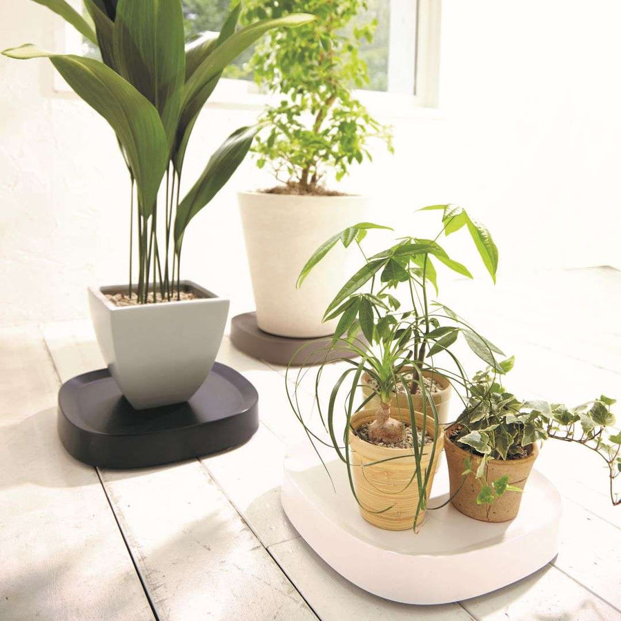 Plantable