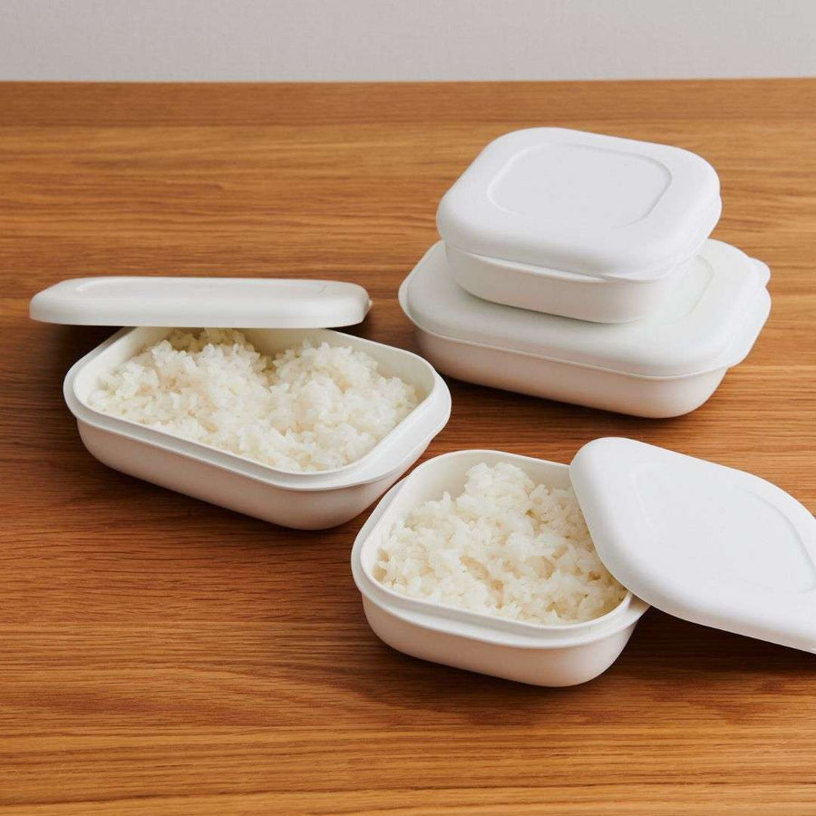 極 冷凍ごはん容器2サイズ 4個セット