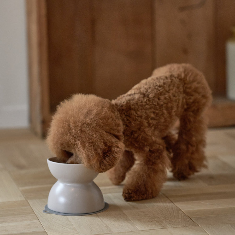 INK Ceramic Food Bowl, Tall