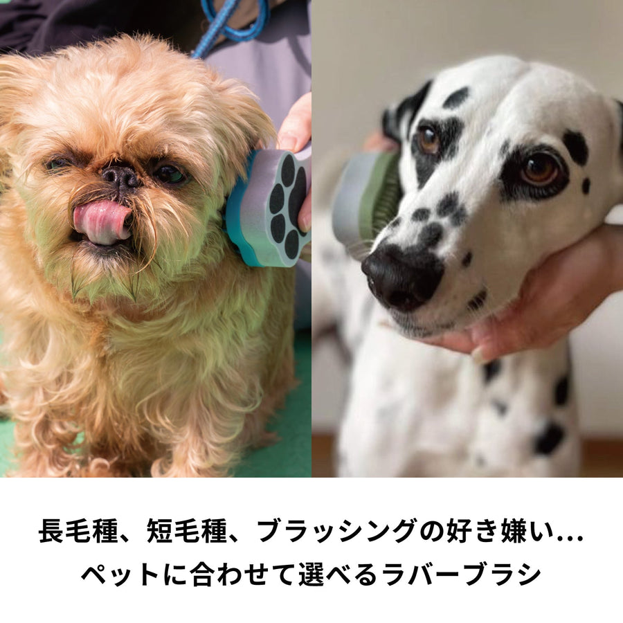 ペットのブラシ グルッテ 短毛種 ミディアム マスタードイエロー