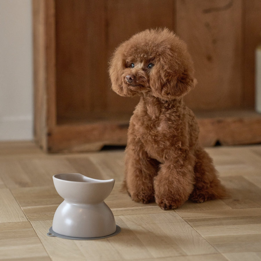 INK Ceramic Food Bowl, Tall