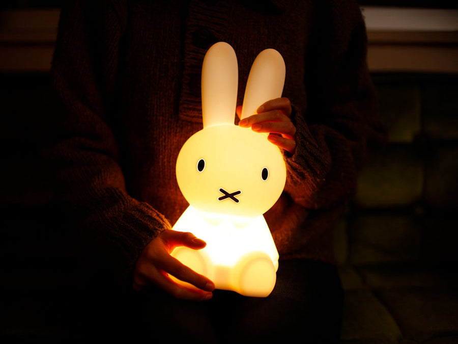 FIRST LIGHT miffy and friends Miffy