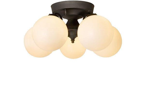 Remote Ceiling Lamp 5