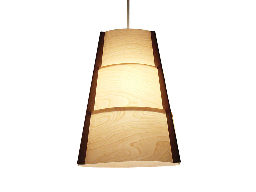 LED Pendant Light