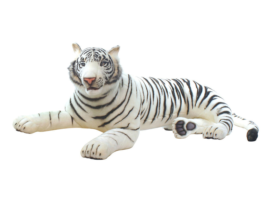 WHITE TIGER LAYING