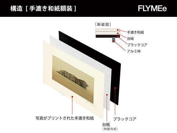 日本 嵯峨野の竹林