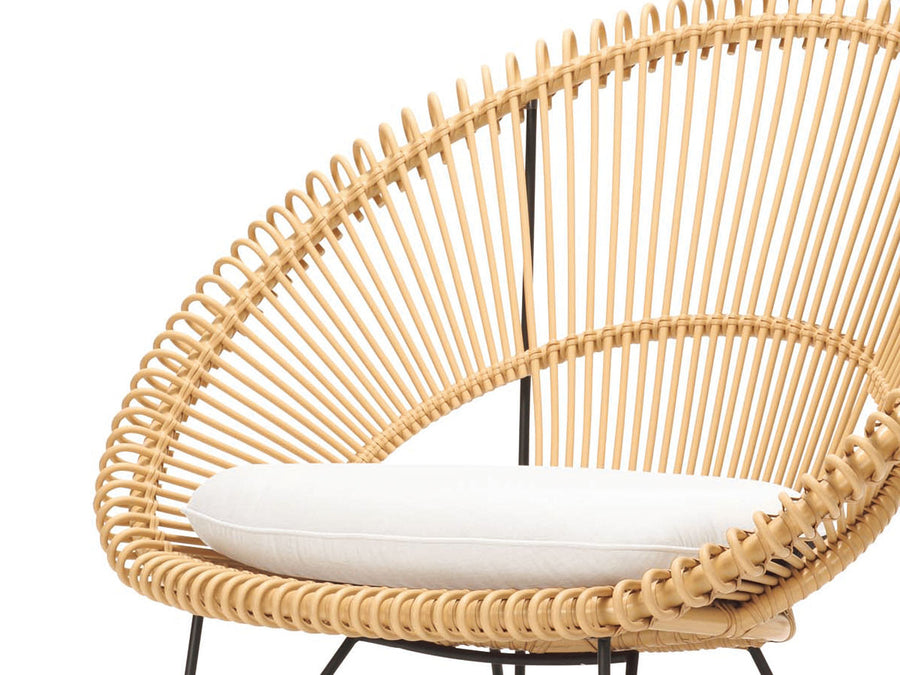 ROY COCOON CHAIR