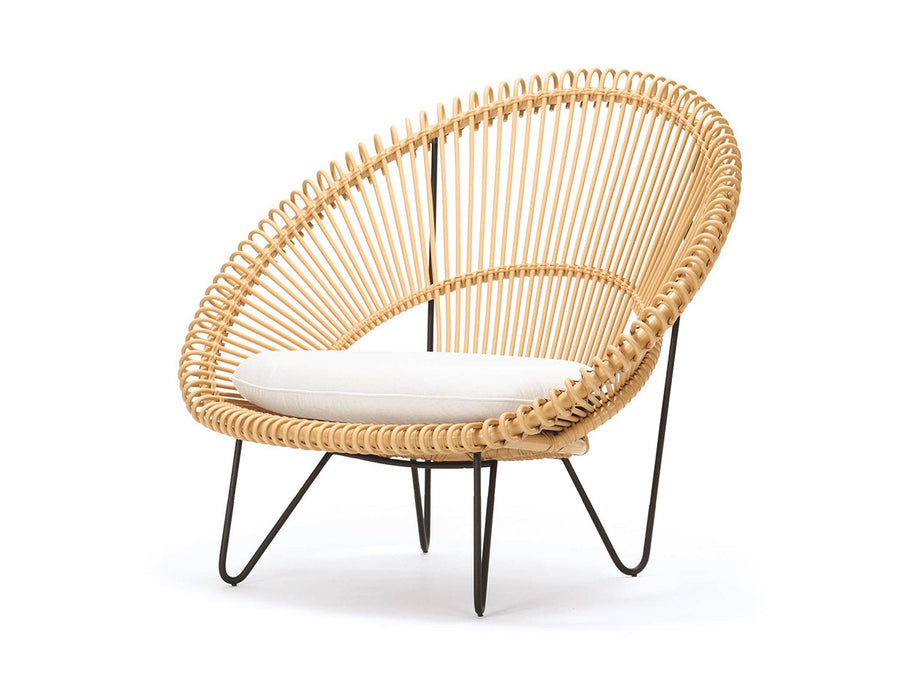 ROY COCOON CHAIR