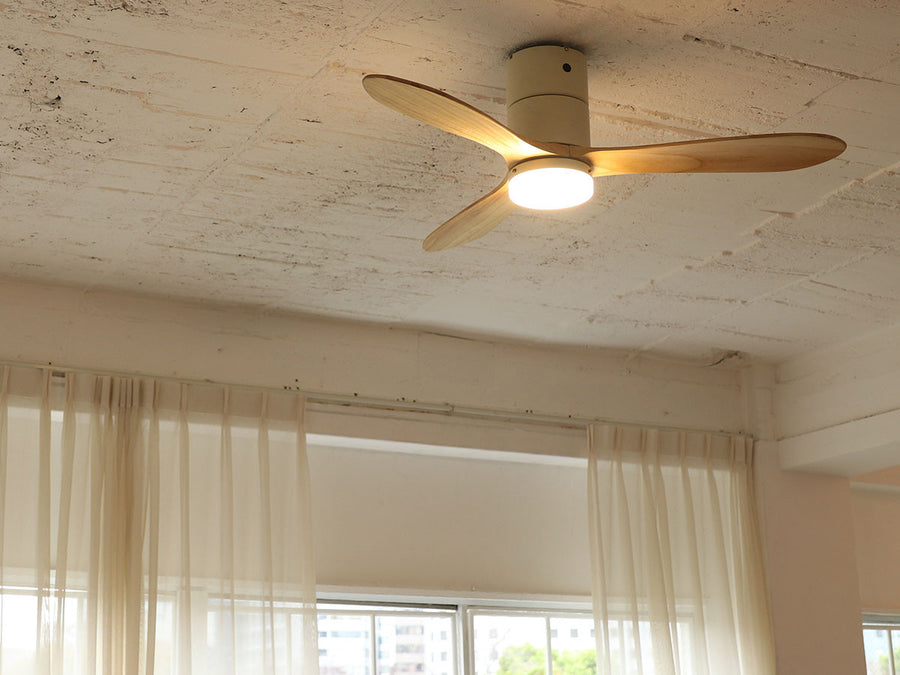 Ceiling Fan