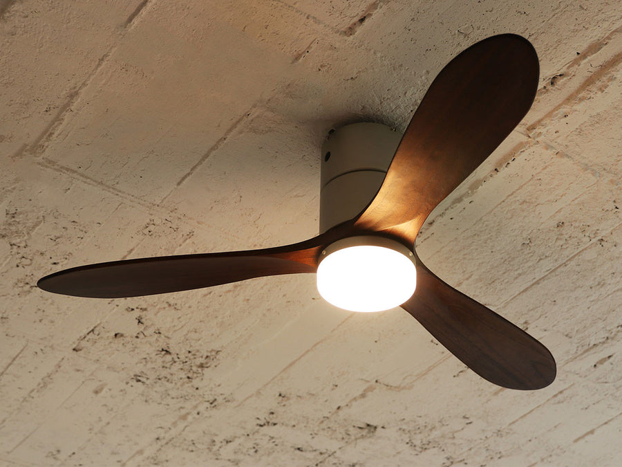 Ceiling Fan