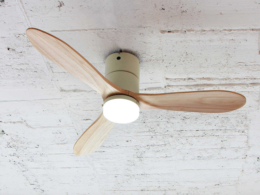 Ceiling Fan