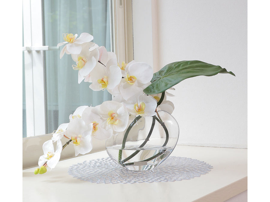 PHALAENOPSIS