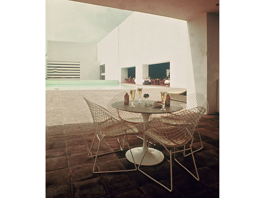 Bertoia Collection Diamond Chair