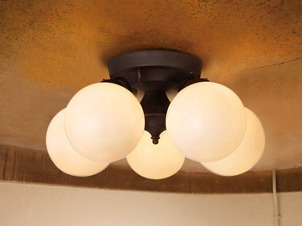 Remote Ceiling Lamp 5