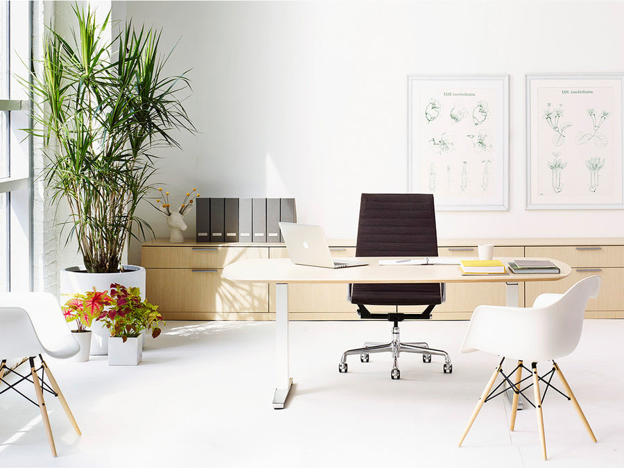 Eames Aluminum Group Executive Chair