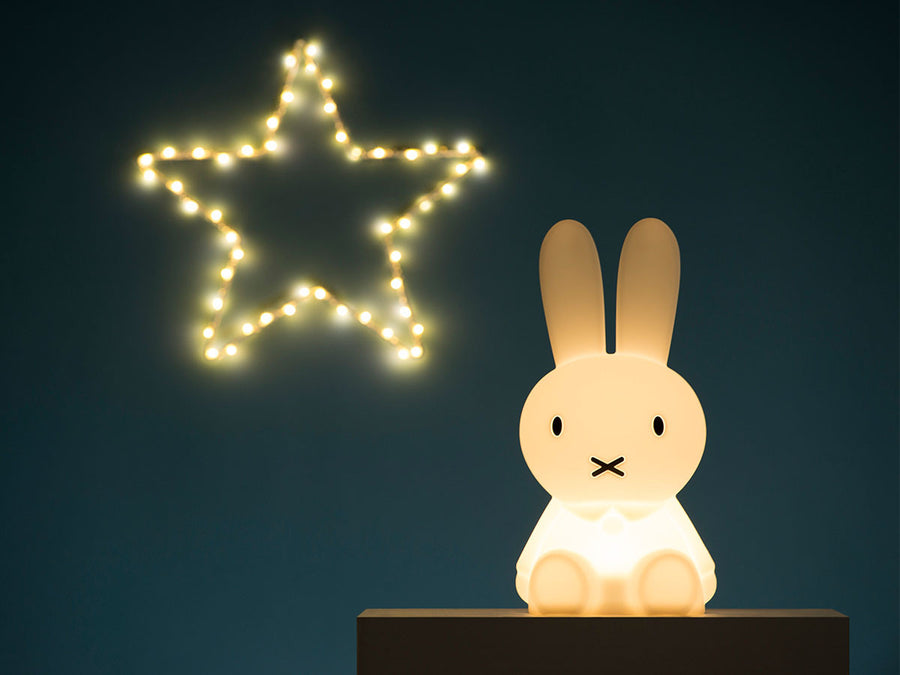 FIRST LIGHT miffy and friends Miffy