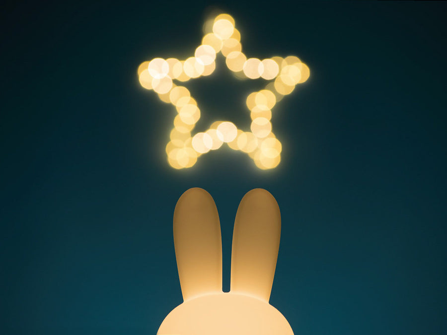 FIRST LIGHT miffy and friends Miffy