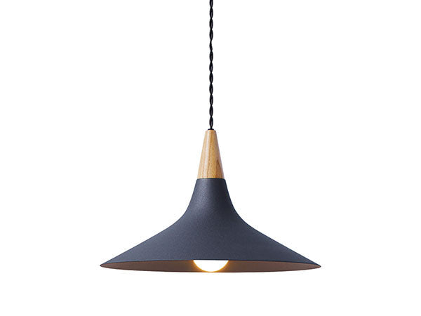 Pendant light