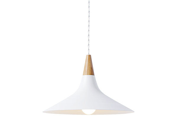 Pendant light