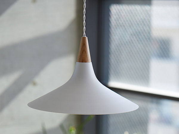 Pendant light