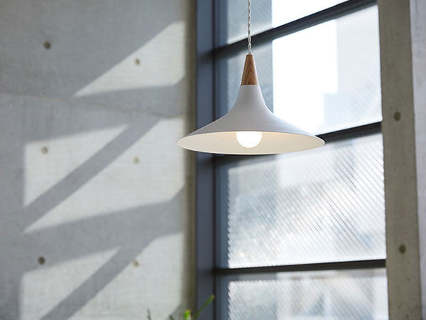 Pendant light