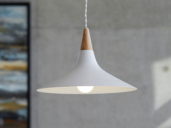 Pendant light