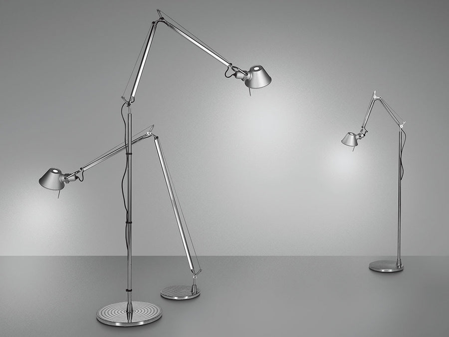 TOLOMEO Reading Floor