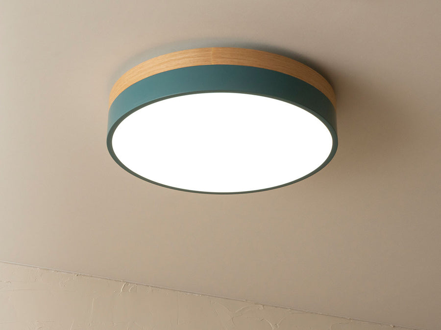 CEILING LIGHT