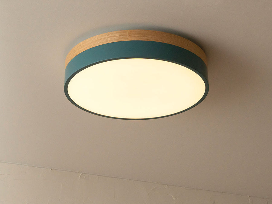 CEILING LIGHT