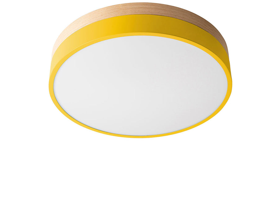 CEILING LIGHT