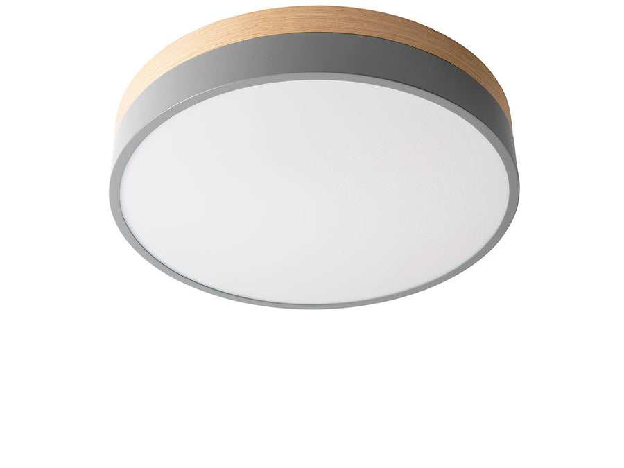 CEILING LIGHT