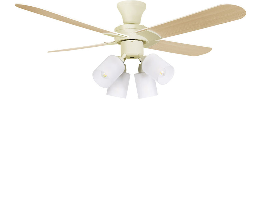 Ceiling Fan