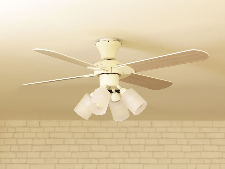 Ceiling Fan