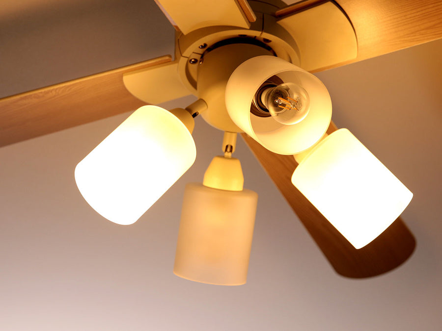 Ceiling Fan