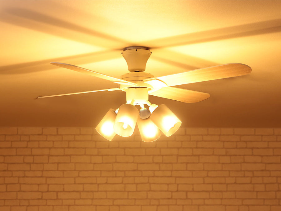 Ceiling Fan